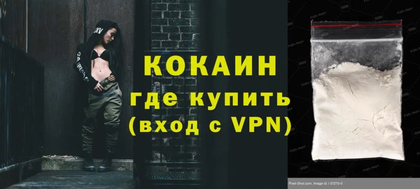 шишки Абинск